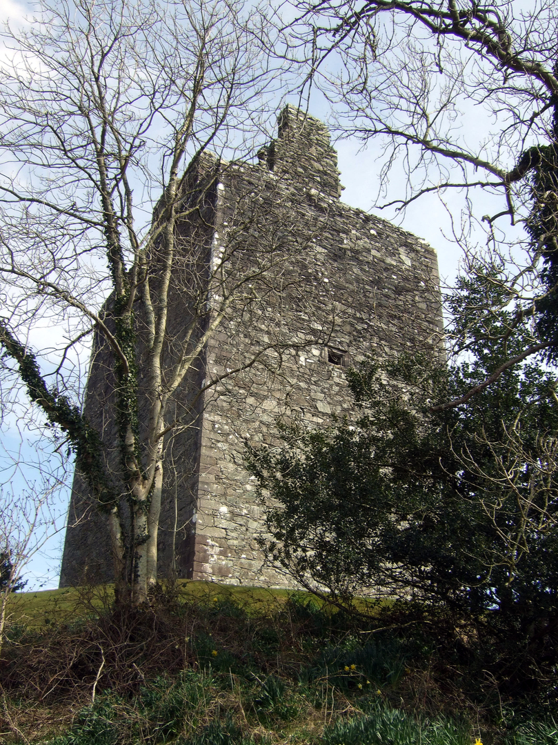 Cardoness Castle is a plain but impressive tower house, long held by the turbulent MacCullochs, in a prominent spot with a once comfortable interior, near Gatehouse of Fleet in Dumfries and Galloway.
