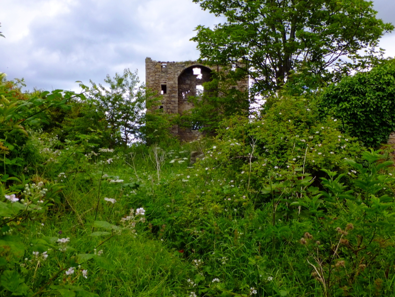 Saltcoats Castle, a scenic, ruinous and overgrown old castle of the Livingstone family, near the pretty village of Gullane in East Lothian.