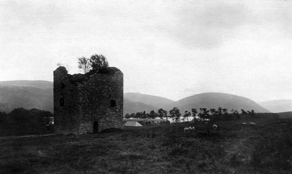 Dryhope Tower, a ruinous old tower house is a scenic now peaceful location, once held by the turbulent Scott family and near Cappercleuch and St Mary's Loch in the Borders of southern Scotland.