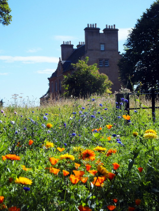 Bankton House is a restored old house dating from around 1700, built by the Hamiltons and owned by Colonel Gardiner, who was killed at the Battle of Prestonpans, with an audiovisual presentation in the doocot, near Tranent in East Lothian in south-east Sc