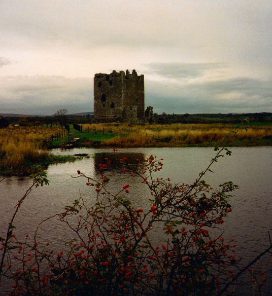 Threave Castle, a grim but scenic old tower and castle, built by the Black Douglases, on an island in River Dee, near Castle Douglas in Dumfries and Galloway.