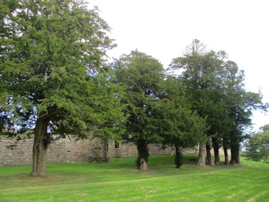 Tolquhon Castle is a substantial ruinous courtyard castle with a large tower and some fantastic stone carving on the gatehouse, held by the Preston family and then by the Forbeses, in a quiet spot near Tarves (Tarves Tomb) in Aberdeenshire