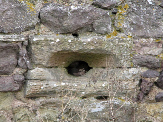 Gunloop, Barnes Castle, a picturesque ruinous old building, built by the Setons but never completed, near Athelstaneford in East Lothian in south-east Scotland.