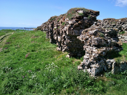 Ardross Castle is a much reduced ruin in a pretty spot above a beach, long associated with the Dishington family, then the Scotts and Anstruthers, while Elie House replaced the castle, to the east of Elie in the East Neuk of Fife in central Scotland.