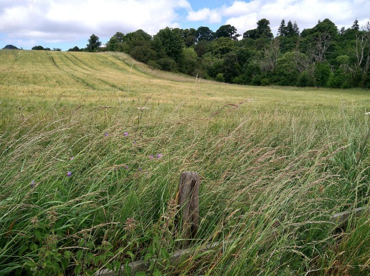 Mantle Walls (Malton Walls) is the site of a large palace or residence of the bishops of Glasgow, near to the village of Ancrum, near Jedburgh in the Scottish Borders.