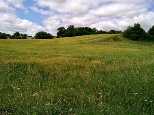 Mantle Walls (Malton Walls) is the site of a large palace or residence of the bishops of Glasgow, near to the village of Ancrum, near Jedburgh in the Scottish Borders.